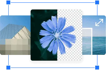 Image editing showcase